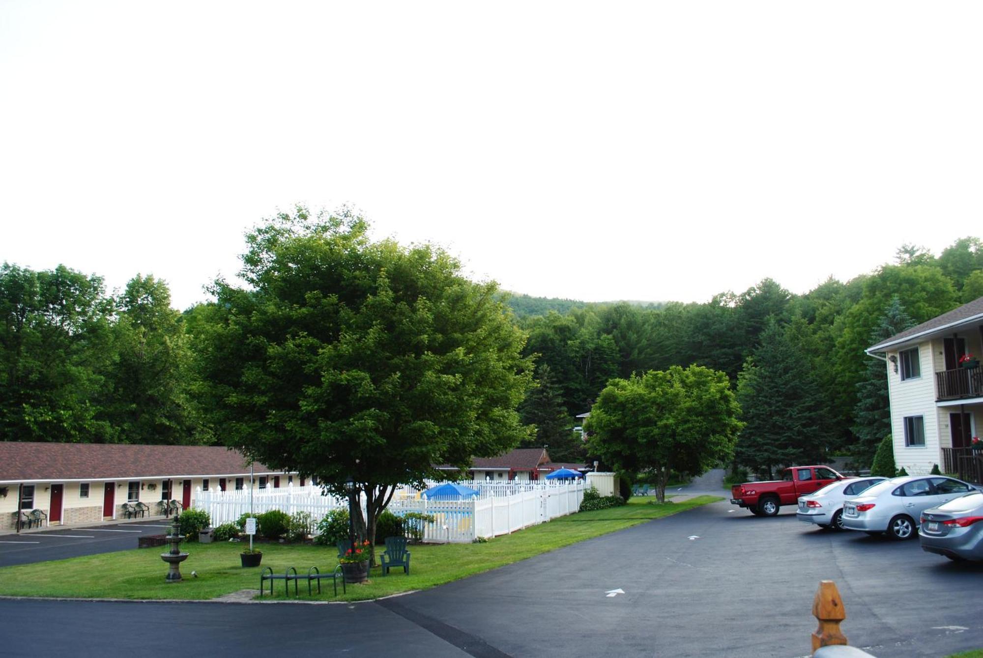 Fran Cove Motel Озеро Джордж Экстерьер фото