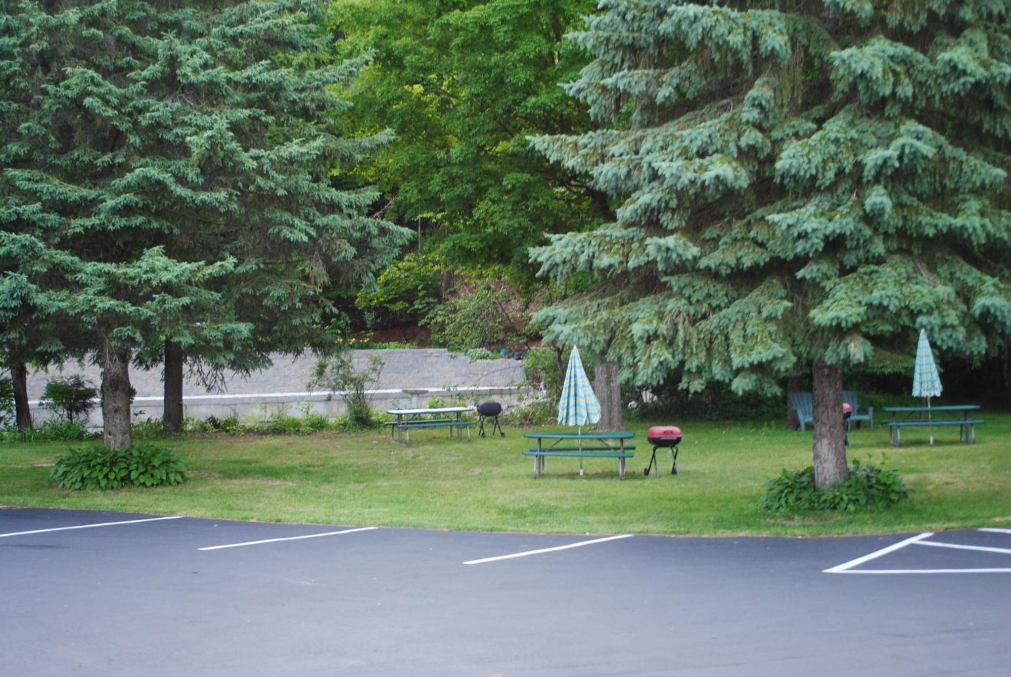 Fran Cove Motel Озеро Джордж Экстерьер фото
